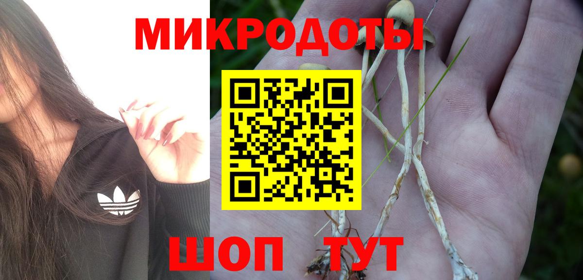наркота  Псилоцибиновые грибы Cubensis  Вход с VPN  Новороссийск  Галлюциногенные грибы прущие грибы 